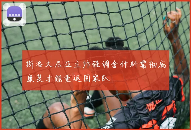 斯洛文尼亚主帅强调舍什科需彻底康复才能重返国家队