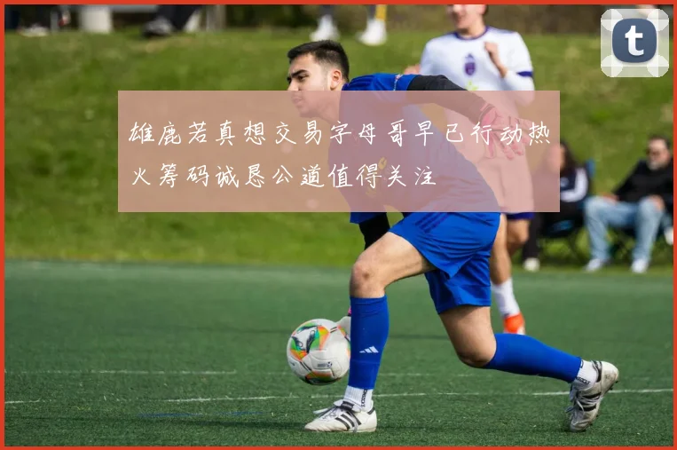雄鹿若真想交易字母哥早已行动热火筹码诚恳公道值得关注