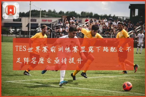 TES世界赛前训练赛显露下路配合不足阵容磨合亟待提升